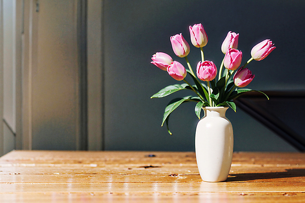 JPG 스튜디오촬영 편집이미지 분홍색 실내 그림자 사람없음 빛 꽃병 튤립 나무탁자 편집실사 AI포토 AI콘텐츠 꽃 컬러 탁자 내부 CG 파일형식