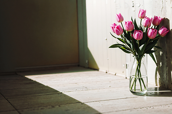 JPG 스튜디오촬영 편집이미지 분홍색 유리병 실내 그림자 사람없음 빛 꽃병 튤립 편집실사 AI포토 AI콘텐츠 꽃 컬러 병_용기 내부 CG 파일형식