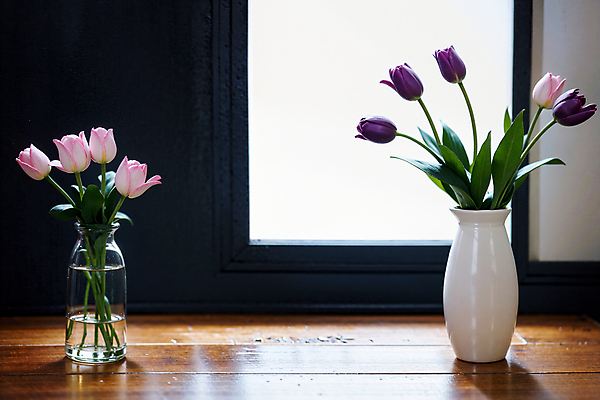 JPG 스튜디오촬영 편집이미지 창문 유리병 실내 그림자 사람없음 빛 꽃병 튤립 나무탁자 편집실사 AI포토 AI콘텐츠 꽃 탁자 병_용기 내부 CG 파일형식