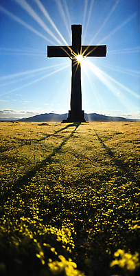 JPG 편집이미지 기독교 십자가 풍경 초원 사람없음 빛 디지털합성 편집소스 편집실사 AI컴퓨터그래픽 AI콘텐츠 종교 CG 파일형식