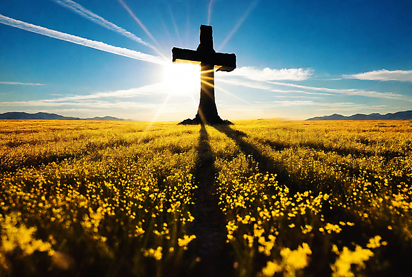 JPG 구름 편집이미지 꽃 실루엣 기독교 십자가 하늘 풍경 초원 사람없음 빛 디지털합성 편집소스 편집실사 AI컴퓨터그래픽 AI콘텐츠 자연요소 식물 종교 촬영기법 CG 파일형식