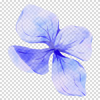 편집이미지 여름꽃 수채화 누끼 사람없음 여름 파란색 손그림 수국 PNG 계절 꽃 컬러 파일형식 여름_계절