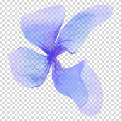 편집이미지 여름꽃 수채화 누끼 사람없음 여름 파란색 손그림 수국 PNG 계절 꽃 컬러 파일형식 여름_계절