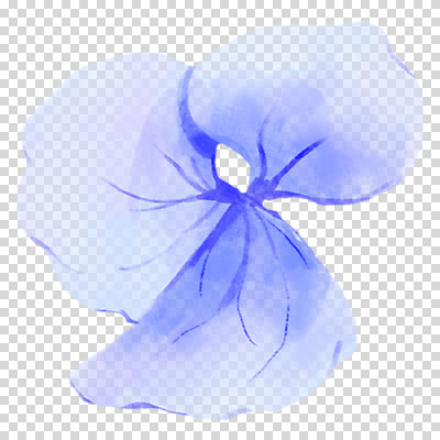 편집이미지 여름꽃 수채화 누끼 사람없음 여름 파란색 손그림 수국 PNG 계절 꽃 컬러 파일형식 여름_계절