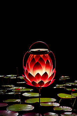 JPG 편집이미지 불교 사람없음 빨간색 빛 검은색 어둠 등불 연못 야간 저녁 연잎 연등 편집실사 AI포토 AI콘텐츠 자연요소 종교 컬러 잎 조명 불교용품 CG 파일형식