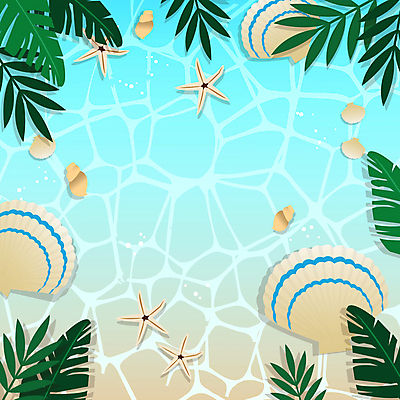 바다 여행 백그라운드 조개 불가사리 사각프레임 프레임 해변 사람없음 여름 여름휴가 소라 물결무늬 야자수잎 카피스페이스 트로피컬아트 모션그래픽 MP4 MOV 계절 물결 잎 무늬 휴가 어패류 극피동물 사각형 공백 그림 동영상 파일형식 여름_계절