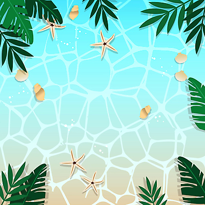 바다 여행 백그라운드 불가사리 사각프레임 프레임 해변 사람없음 여름 여름휴가 소라 물결무늬 야자수잎 카피스페이스 트로피컬아트 모션그래픽 MP4 MOV 계절 물결 잎 무늬 휴가 어패류 극피동물 사각형 공백 그림 동영상 파일형식 여름_계절