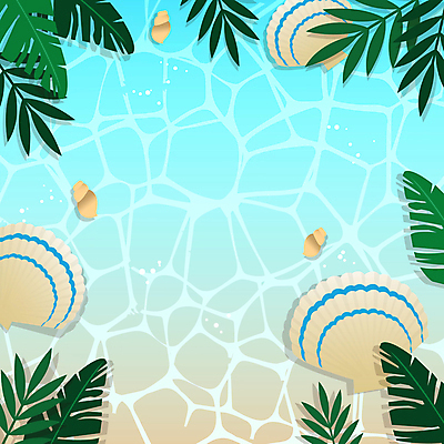 바다 여행 백그라운드 조개 사각프레임 프레임 해변 사람없음 여름 여름휴가 소라 물결무늬 야자수잎 카피스페이스 트로피컬아트 모션그래픽 MP4 MOV 계절 물결 잎 무늬 휴가 어패류 사각형 공백 그림 동영상 파일형식 여름_계절