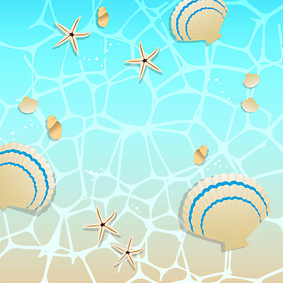 바다 여행 백그라운드 조개 불가사리 사각프레임 프레임 해변 사람없음 여름 여름휴가 소라 물결무늬 카피스페이스 트로피컬아트 모션그래픽 MP4 MOV 계절 물결 무늬 휴가 어패류 극피동물 사각형 공백 그림 동영상 파일형식 여름_계절