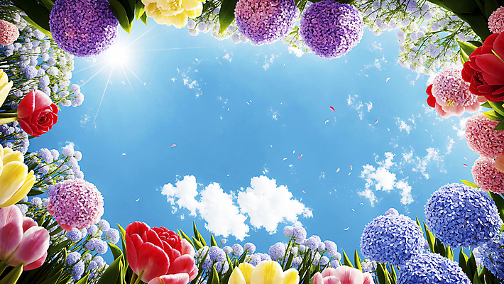 JPG 구름 편집이미지 꽃잎 꽃밭 자연 하늘 프레임 풍경 사람없음 햇빛 태양 튤립 화려 디지털합성 수국 편집실사 AI포토 AI콘텐츠 자연요소 꽃 컨셉 CG 생태계 파일형식