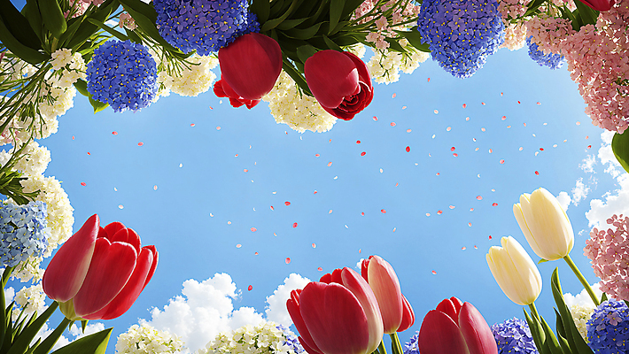 JPG 구름 편집이미지 꽃잎 꽃밭 자연 하늘 프레임 풍경 사람없음 튤립 화려 디지털합성 수국 편집실사 AI포토 AI콘텐츠 자연요소 꽃 컨셉 CG 생태계 파일형식