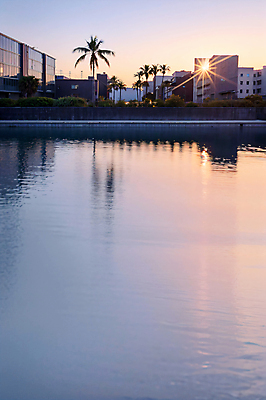 JPG 편집이미지 수영장 사람없음 야외 건물 야자수 햇빛 태양 일몰 디지털합성 오후 편집실사 AI포토 AI콘텐츠 자연요소 나무 건축물 노을 CG 파일형식
