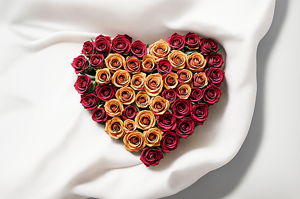 JPG 편집이미지 꽃다발 사랑 사람없음 빨간색 장미 노란색 하트 천 디지털합성 편집소스 편집실사 AI포토 AI콘텐츠 모양 꽃 감정 컬러 직물 CG 파일형식