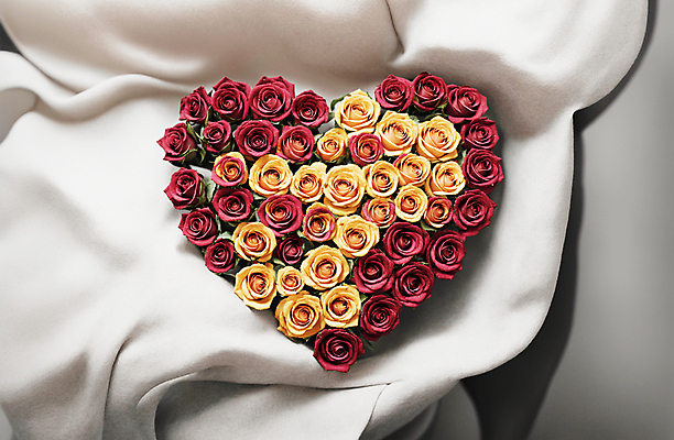 JPG 편집이미지 꽃다발 사랑 사람없음 빨간색 장미 노란색 하트 천 디지털합성 편집소스 편집실사 AI포토 AI콘텐츠 모양 꽃 감정 컬러 직물 CG 파일형식