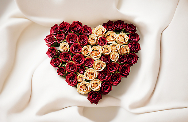 JPG 편집이미지 꽃다발 사랑 사람없음 빨간색 장미 흰색 하트 천 디지털합성 편집소스 편집실사 AI포토 AI콘텐츠 모양 꽃 감정 컬러 직물 CG 파일형식