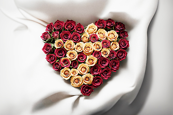 JPG 편집이미지 꽃다발 사랑 사람없음 빨간색 장미 노란색 하트 천 디지털합성 편집소스 편집실사 AI포토 AI콘텐츠 모양 꽃 감정 컬러 직물 CG 파일형식