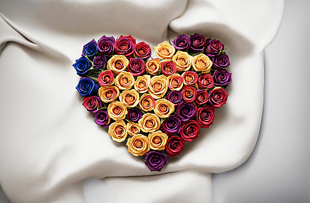 JPG 편집이미지 꽃다발 사랑 사람없음 컬러풀 장미 노란색 하트 천 디지털합성 편집소스 편집실사 AI포토 AI콘텐츠 모양 꽃 감정 컬러 직물 CG 파일형식