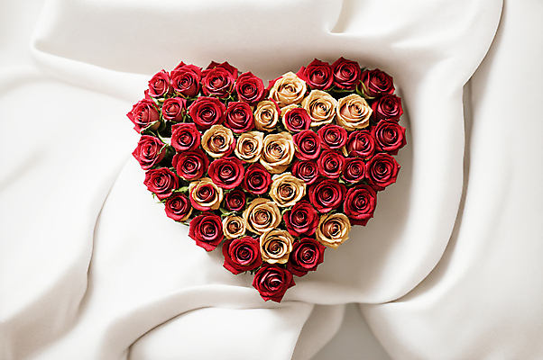 JPG 편집이미지 꽃다발 사랑 사람없음 빨간색 장미 흰색 하트 천 디지털합성 편집소스 편집실사 AI포토 AI콘텐츠 모양 꽃 감정 컬러 직물 CG 파일형식