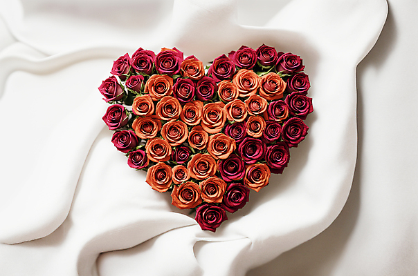 JPG 편집이미지 꽃다발 사랑 사람없음 빨간색 장미 주황색 하트 천 디지털합성 편집소스 편집실사 AI포토 AI콘텐츠 모양 꽃 감정 컬러 직물 CG 파일형식