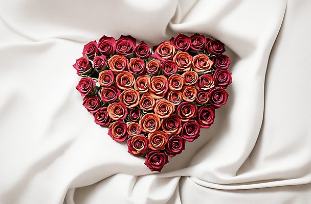 JPG 편집이미지 꽃다발 사랑 사람없음 빨간색 장미 하트 천 디지털합성 편집소스 편집실사 AI포토 AI콘텐츠 모양 꽃 감정 컬러 직물 CG 파일형식