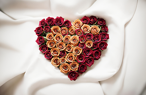 JPG 편집이미지 꽃다발 사랑 사람없음 빨간색 장미 주황색 하트 천 디지털합성 편집소스 편집실사 AI포토 AI콘텐츠 모양 꽃 감정 컬러 직물 CG 파일형식