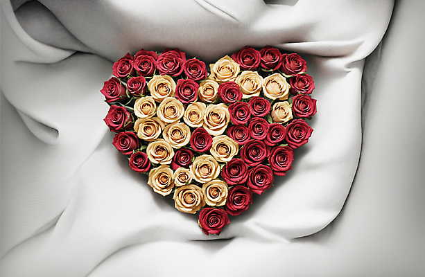 JPG 편집이미지 꽃다발 사랑 사람없음 빨간색 장미 흰색 하트 천 디지털합성 편집소스 편집실사 AI포토 AI콘텐츠 모양 꽃 감정 컬러 직물 CG 파일형식