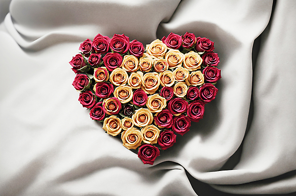 JPG 편집이미지 꽃다발 사랑 사람없음 빨간색 장미 노란색 하트 천 디지털합성 편집소스 편집실사 AI포토 AI콘텐츠 모양 꽃 감정 컬러 직물 CG 파일형식