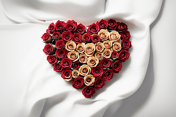 JPG 편집이미지 꽃다발 사랑 사람없음 빨간색 장미 하트 천 디지털합성 살구색 편집소스 편집실사 AI포토 AI콘텐츠 모양 꽃 감정 컬러 직물 CG 파일형식