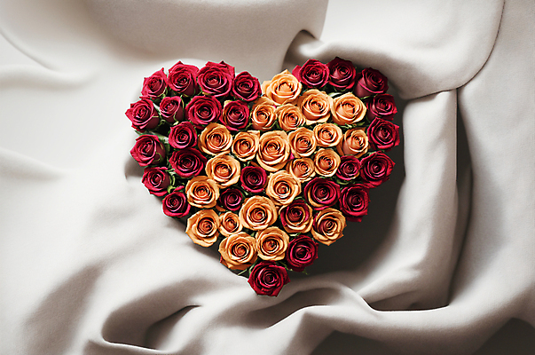 JPG 편집이미지 꽃다발 사랑 사람없음 빨간색 장미 주황색 하트 천 디지털합성 편집소스 편집실사 AI포토 AI콘텐츠 모양 꽃 감정 컬러 직물 CG 파일형식