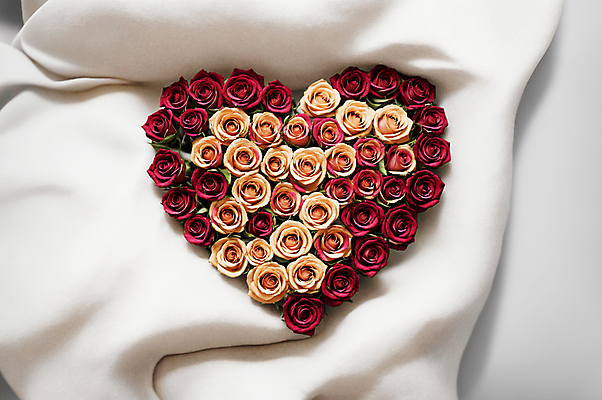 JPG 편집이미지 꽃다발 사랑 사람없음 빨간색 장미 하트 천 디지털합성 살구색 편집소스 편집실사 AI포토 AI콘텐츠 모양 꽃 감정 컬러 직물 CG 파일형식