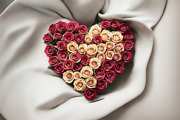 JPG 편집이미지 꽃다발 사랑 사람없음 빨간색 장미 흰색 하트 천 디지털합성 편집소스 편집실사 AI포토 AI콘텐츠 모양 꽃 감정 컬러 직물 CG 파일형식