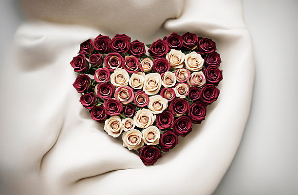 JPG 편집이미지 꽃다발 사랑 사람없음 빨간색 장미 흰색 하트 천 디지털합성 편집소스 편집실사 AI포토 AI콘텐츠 모양 꽃 감정 컬러 직물 CG 파일형식