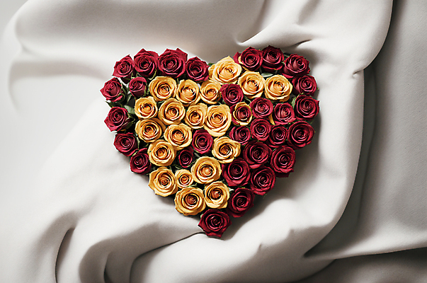 JPG 편집이미지 꽃다발 사랑 사람없음 빨간색 장미 노란색 하트 천 디지털합성 편집소스 편집실사 AI포토 AI콘텐츠 모양 꽃 감정 컬러 직물 CG 파일형식