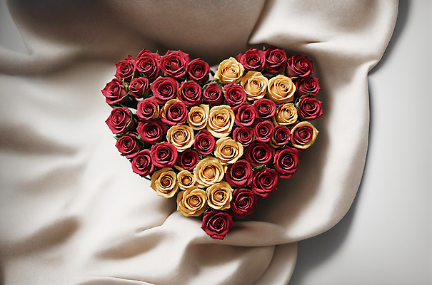 JPG 편집이미지 꽃다발 사랑 사람없음 빨간색 장미 노란색 하트 천 디지털합성 편집소스 편집실사 AI포토 AI콘텐츠 모양 꽃 감정 컬러 직물 CG 파일형식