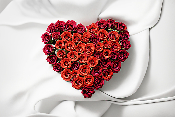 JPG 편집이미지 꽃다발 사랑 사람없음 빨간색 장미 하트 천 디지털합성 편집소스 편집실사 AI포토 AI콘텐츠 모양 꽃 감정 컬러 직물 CG 파일형식