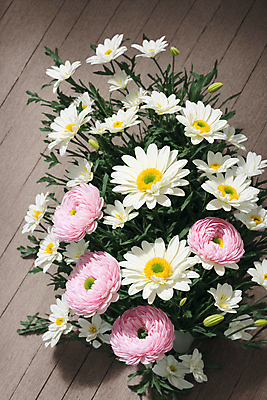 JPG 편집이미지 꽃다발 실내 사람없음 데이지 라넌큘러스 생화 편집실사 AI포토 AI콘텐츠 꽃 내부 CG 파일형식