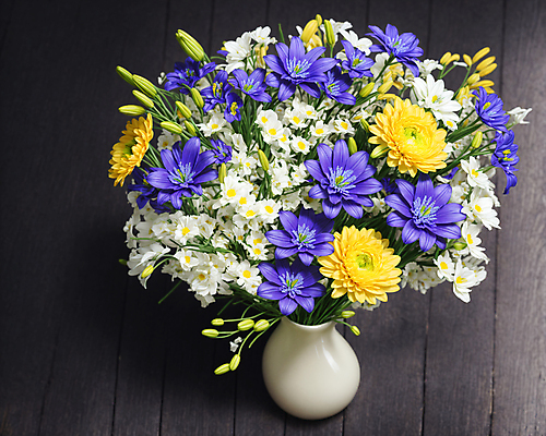 JPG 편집이미지 꽃 꽃다발 실내 사람없음 데이지 거베라 생화 편집실사 AI포토 AI콘텐츠 식물 내부 CG 파일형식