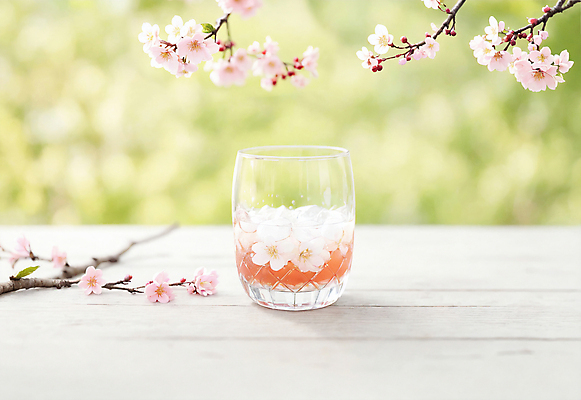 JPG 편집이미지 꽃 잔 사람없음 야외 아웃포커스 벚꽃 나뭇가지 차 찻잔 오브젝트 편집실사 AI포토 AI콘텐츠 나무 식물 식기 음료 촬영기법 CG 파일형식