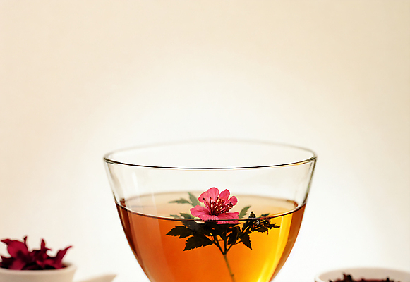 JPG 편집이미지 꽃 잔 실내 사람없음 차 찻잔 오브젝트 편집실사 AI포토 AI콘텐츠 식물 식기 음료 내부 CG 파일형식