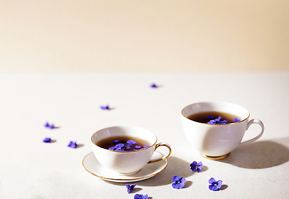 JPG 편집이미지 꽃 실내 사람없음 차 찻잔 오브젝트 편집실사 AI포토 AI콘텐츠 식물 음료 잔 내부 CG 파일형식