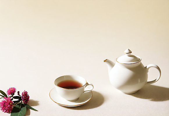 JPG 편집이미지 꽃 실내 사람없음 차 찻잔 찻주전자 오브젝트 편집실사 AI포토 AI콘텐츠 식물 음료 주전자 잔 내부 CG 파일형식