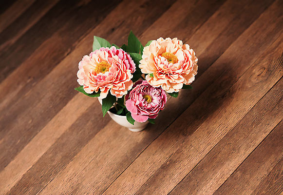 JPG 편집이미지 꽃 바닥 실내 사람없음 나뭇결 꽃병 나무바닥 편집실사 AI포토 AI콘텐츠 식물 내부 CG 파일형식