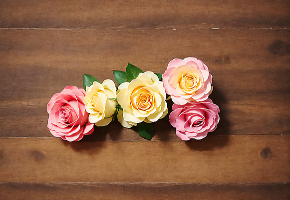 JPG 편집이미지 꽃 잎 바닥 실내 사람없음 나뭇결 장미 나무바닥 편집실사 AI포토 AI콘텐츠 식물 내부 CG 파일형식