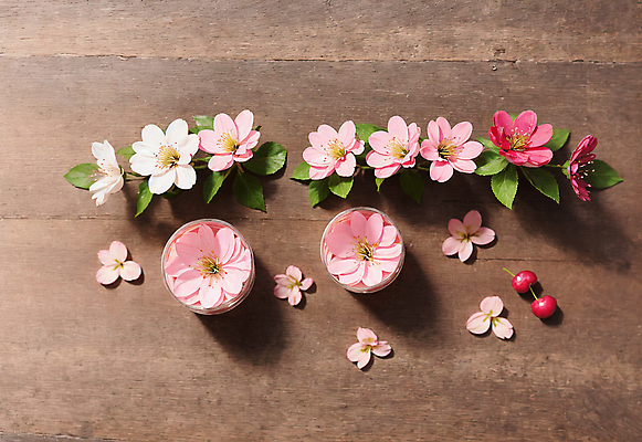 JPG 편집이미지 열매 꽃 잎 바닥 실내 사람없음 나뭇결 벚꽃 나무바닥 편집실사 AI포토 AI콘텐츠 식물 내부 CG 파일형식