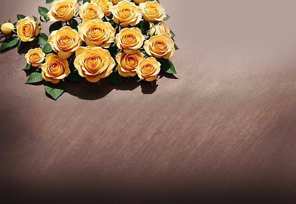 JPG 편집이미지 꽃다발 여러송이 잎 실내 사람없음 장미 노란색 카피스페이스 편집실사 AI포토 AI콘텐츠 식물 꽃 컬러 다수 내부 공백 CG 파일형식