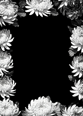 JPG 편집이미지 프레임 국화 흑백 사람없음 디지털합성 애도 장례 조문 추모 카피스페이스 편집소스 편집실사 AI포토 AI콘텐츠 꽃 촬영기법 공백 CG 파일형식