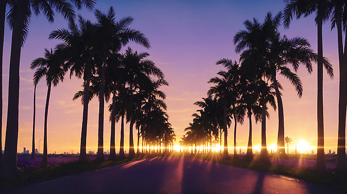 JPG 주간 편집이미지 도로 사람없음 야외 건물 야자수 햇빛 태양 노을 일몰 도시 디지털합성 편집소스 시티팝 편집실사 AI포토 AI콘텐츠 자연요소 나무 건축물 길 컨셉 교통시설 CG 파일형식