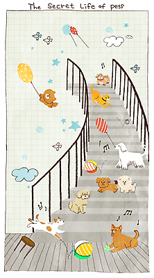 PSD 구름 별 의자 음표 여러마리 일러스트 공 놀이 조류 매달리기 서기 앉기 사람없음 계단 점프 비행 잡기 강아지 공놀이 격자 풍선 동물라이프 내려오기 국내일러스트 자연요소 동물 라이프스타일 기호 음악 가구 다수 무늬 모션 반려동물 개 파일형식