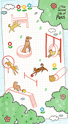 PSD 나무 구름 꽃 엎드리기 여러마리 일러스트 공 나뭇잎 서기 사람없음 운동 운동기구 점프 풀 강아지 놀이기구 격자 통과 동물라이프 애견훈련 국내일러스트 자연요소 식물 동물 라이프스타일 다수 잎 무늬 모션 건강 반려동물 헬스 개 연습 파일형식