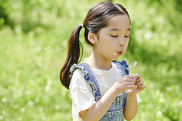 포토 JPG 주간 공원 여자 어린이 양갈래머리 한명 들기 소녀 상반신 야외 옆모습 아웃포커스 여름 한국인 불기 멜빵 즐거움 민들레홀씨 소녀한명만 내려보기 동심 국내포토 자연요소 1 헤어스타일 잡화 계절 공공시설 감정 뷰포인트 모션 촬영기법 사람 동양인 민들레 여자한명만 소녀만 파일형식